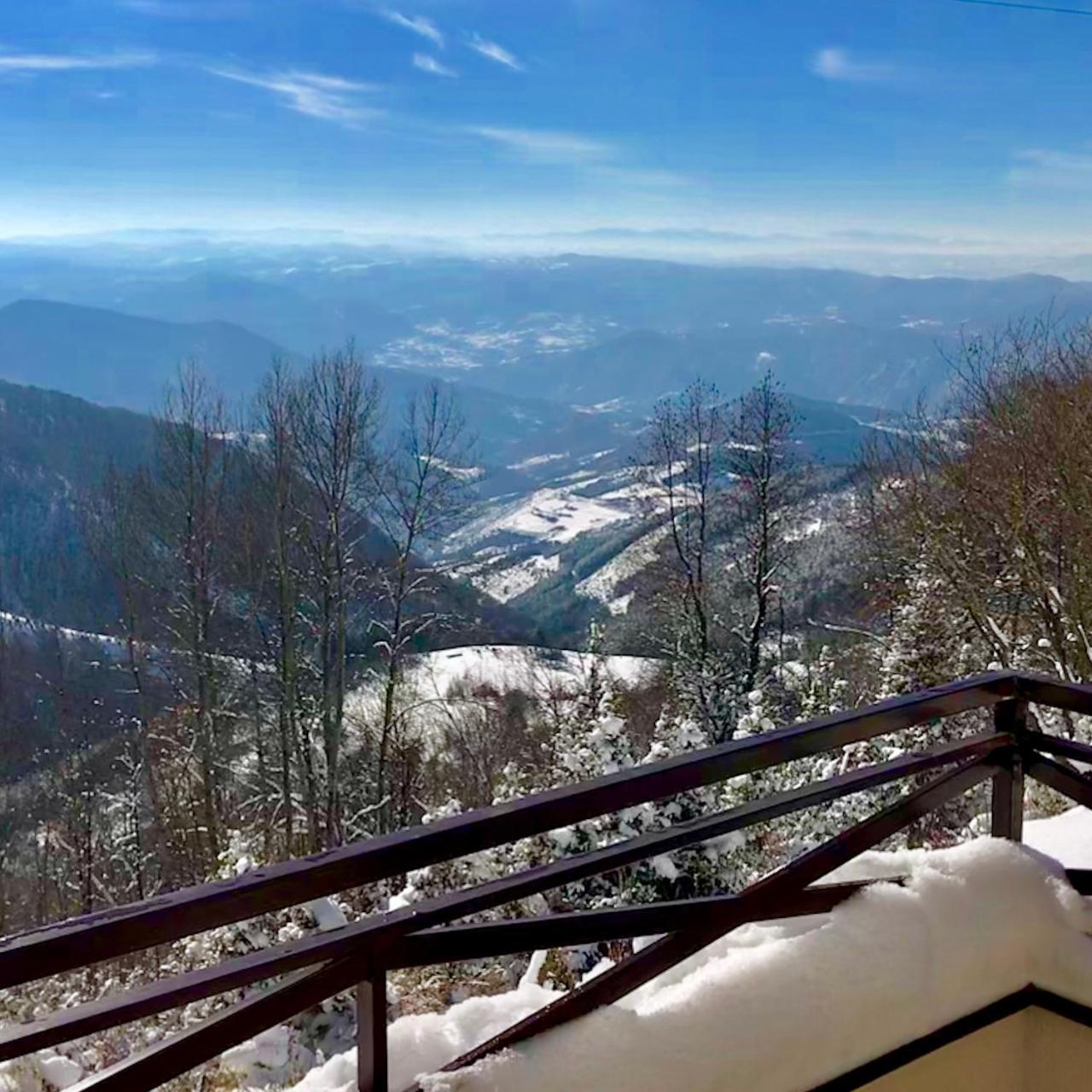 Apartman D52 Dvori Kopaonik Eksteriør bilde